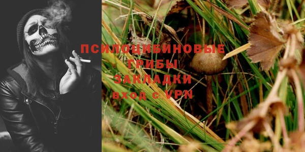 бошки Балахна